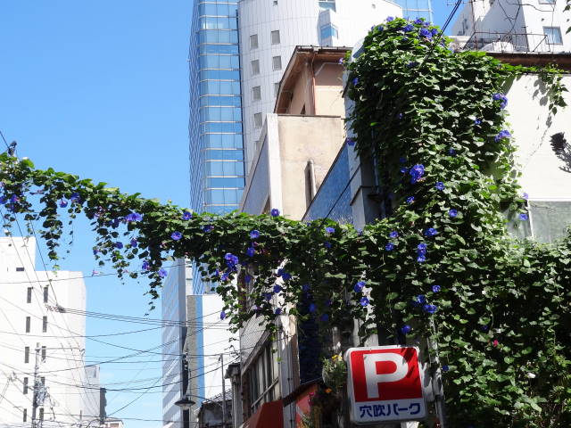 �t���[���X�g�€ ��R�X