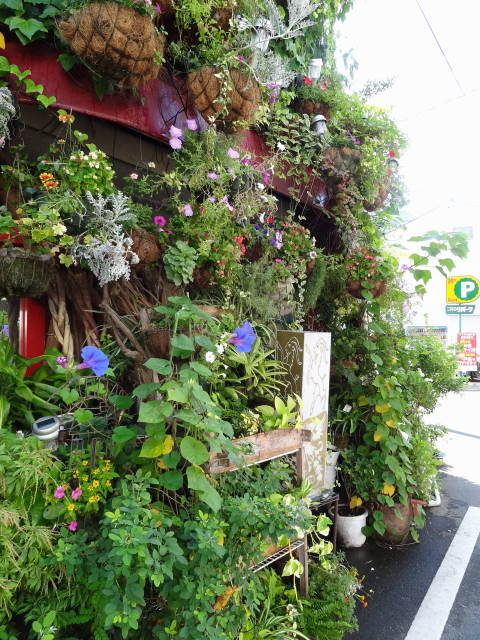 �t���[���X�g�€ ��R�X