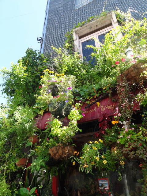 �t���[���X�g�€ ��R�X