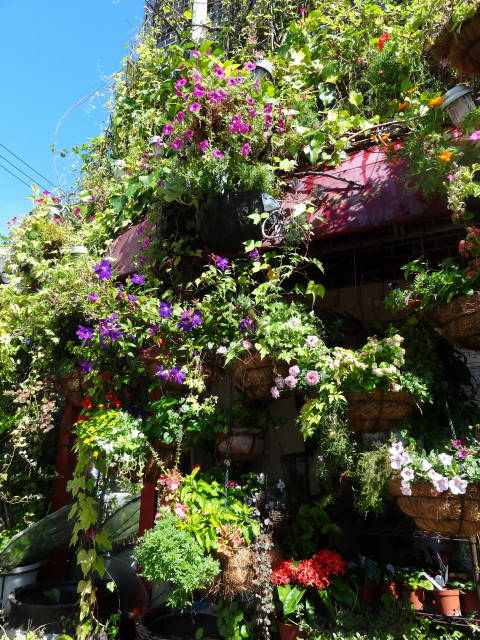 �t���[���X�g�€ ��R�X