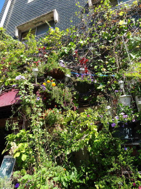 �t���[���X�g�€ ��R�X