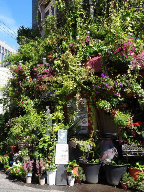 �t���[���X�g�€ ��R�X