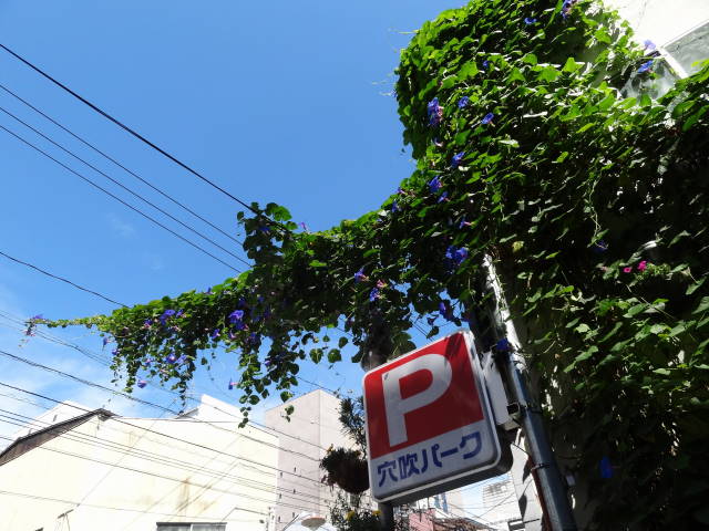 �t���[���X�g�€ ��R�X