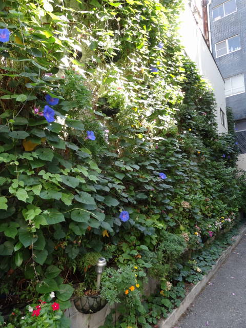 �t���[���X�g�€ ��R�X