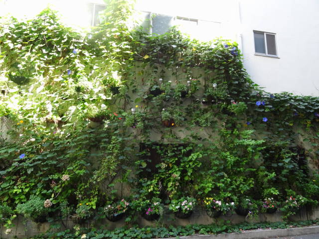 �t���[���X�g�€ ��R�X