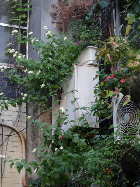 �t���[���X�g�€ ��R�X