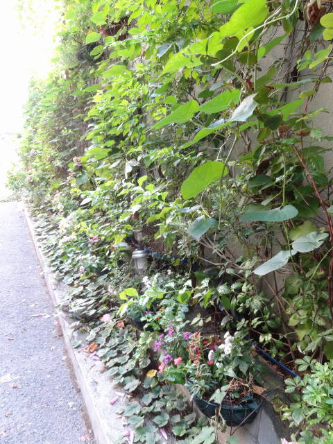 �t���[���X�g�€ ��R�X