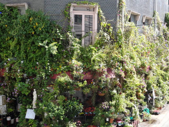 �t���[���X�g�€ ��R�X