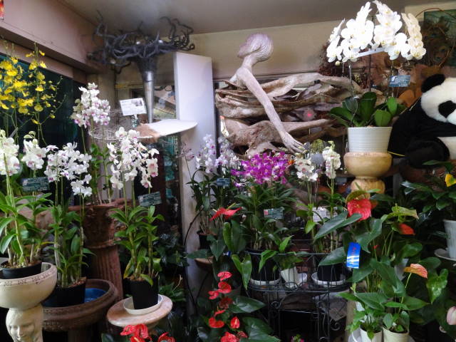 �t���[���X�g�€ ��R�X