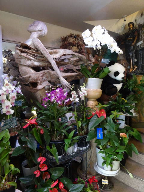 �t���[���X�g�€ ��R�X