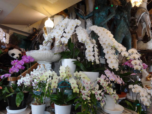 �t���[���X�g�€ ��R�X