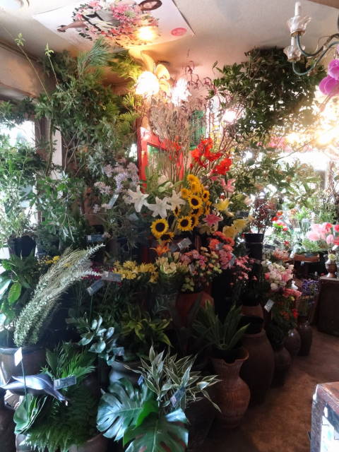 �t���[���X�g�€ ��R�X